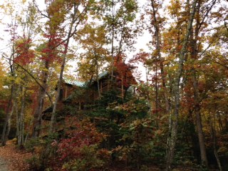cabin in the trees fall 1